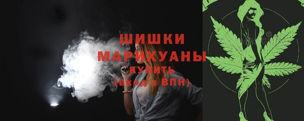 прущие грибы Лагань