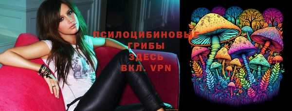 ешки Новокубанск