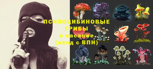 прущая мука Новодвинск