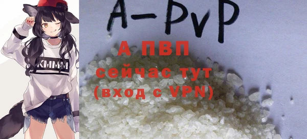 ешки Ладушкин
